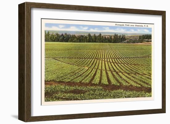 Pineapple Field, Honolulu, Hawaii-null-Framed Art Print