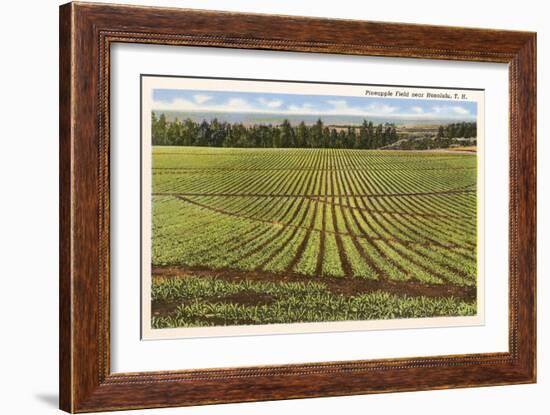 Pineapple Field, Honolulu, Hawaii-null-Framed Art Print