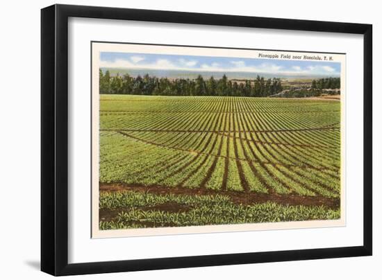 Pineapple Field, Honolulu, Hawaii-null-Framed Art Print