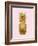 Pineapple Gold on Pink I-Kate Bennett-Framed Art Print