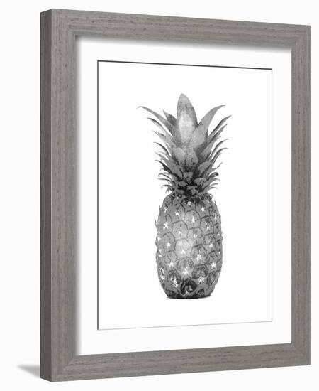 Pineapple Gray I-Kate Bennett-Framed Art Print