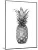 Pineapple Gray I-Kate Bennett-Mounted Art Print