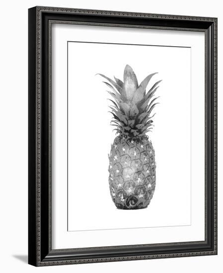 Pineapple Gray I-Kate Bennett-Framed Art Print