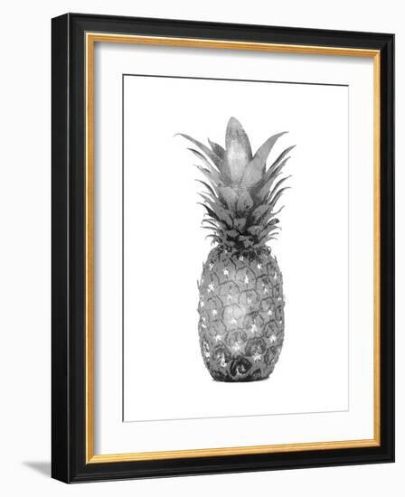 Pineapple Gray I-Kate Bennett-Framed Art Print