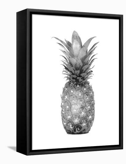 Pineapple Gray I-Kate Bennett-Framed Stretched Canvas