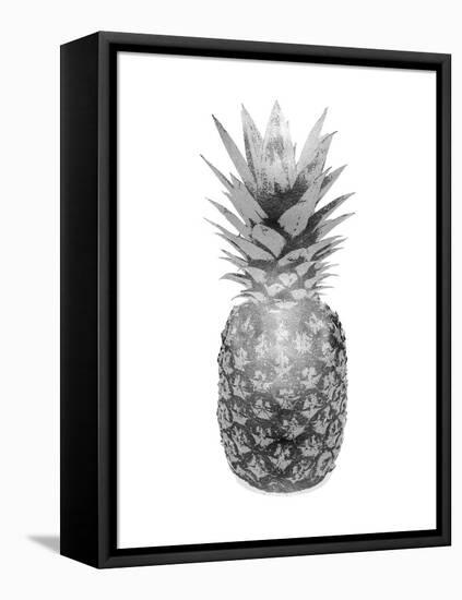 Pineapple Gray II-Kate Bennett-Framed Stretched Canvas