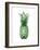 Pineapple Green I-Kate Bennett-Framed Art Print