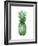 Pineapple Green I-Kate Bennett-Framed Art Print