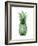 Pineapple Green I-Kate Bennett-Framed Art Print