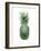 Pineapple Green II-Kate Bennett-Framed Art Print