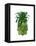 Pineapple, Monstera Leaf-Fab Funky-Framed Stretched Canvas