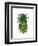 Pineapple, Monstera Leaf-Fab Funky-Framed Art Print