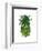 Pineapple, Monstera Leaf-Fab Funky-Framed Art Print