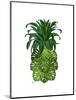 Pineapple, Monstera Leaf-Fab Funky-Mounted Art Print