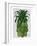 Pineapple, Monstera Leaf-Fab Funky-Framed Art Print