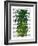 Pineapple, Monstera Leaf-Fab Funky-Framed Art Print