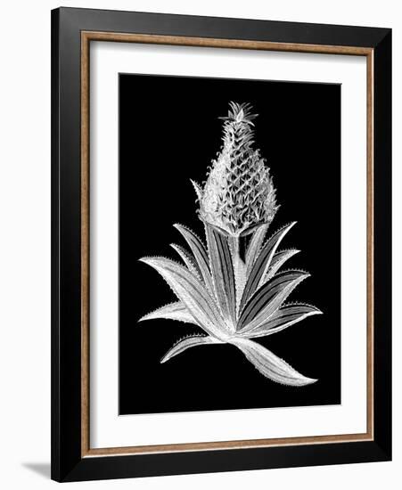 Pineapple Noir I-Vision Studio-Framed Art Print