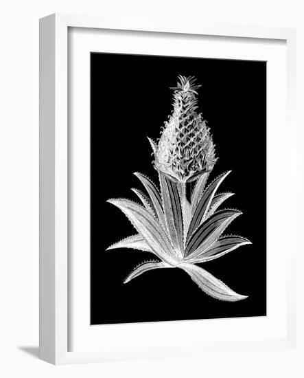 Pineapple Noir I-Vision Studio-Framed Art Print