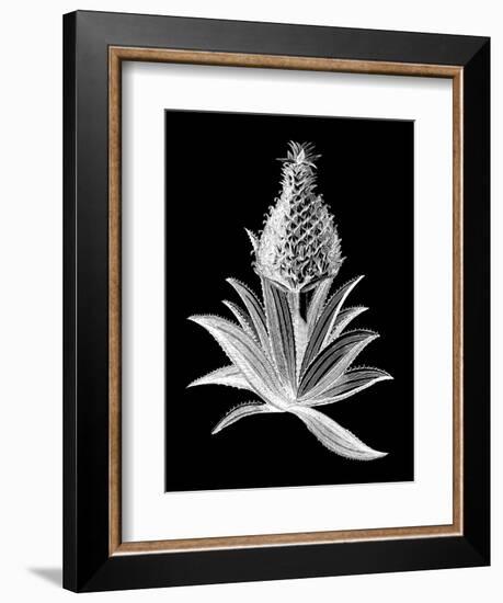 Pineapple Noir I-Vision Studio-Framed Art Print