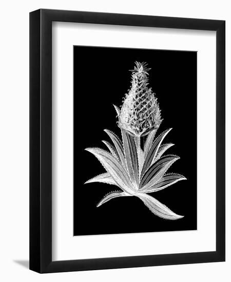 Pineapple Noir I-Vision Studio-Framed Art Print