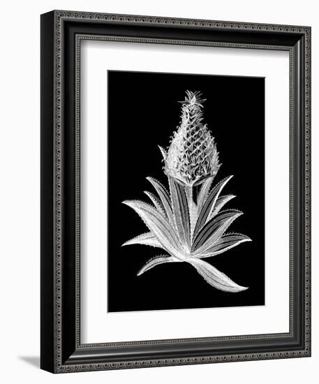 Pineapple Noir I-Vision Studio-Framed Art Print