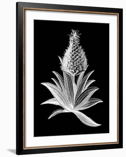 Pineapple Noir I-Vision Studio-Framed Art Print