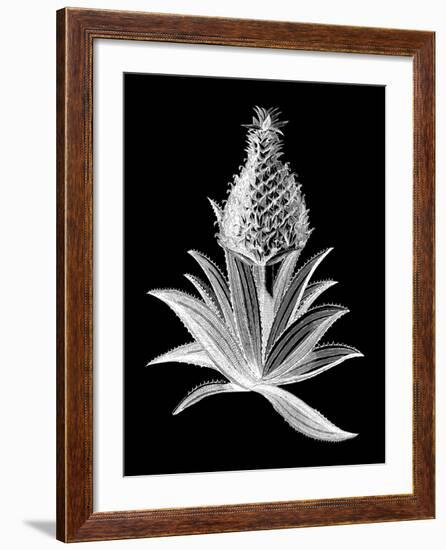 Pineapple Noir I-Vision Studio-Framed Art Print