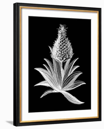 Pineapple Noir I-Vision Studio-Framed Art Print
