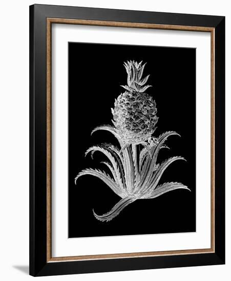 Pineapple Noir II-Vision Studio-Framed Art Print