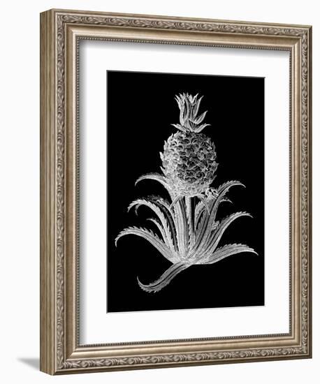 Pineapple Noir II-Vision Studio-Framed Art Print