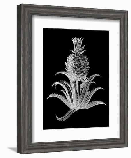 Pineapple Noir II-Vision Studio-Framed Art Print