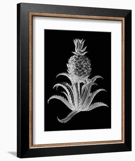 Pineapple Noir II-Vision Studio-Framed Art Print