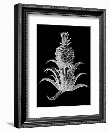 Pineapple Noir II-Vision Studio-Framed Art Print