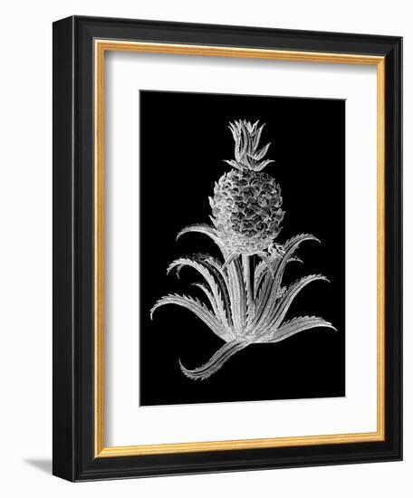 Pineapple Noir II-Vision Studio-Framed Art Print