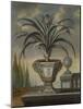 Pineapple Plant, 1729-David von Coln-Mounted Giclee Print