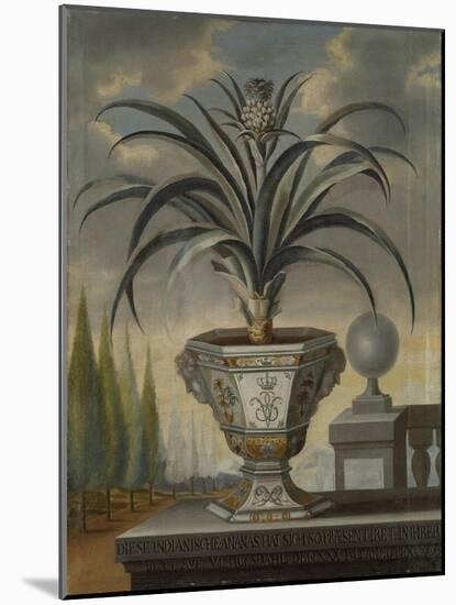 Pineapple Plant, 1729-David von Coln-Mounted Giclee Print