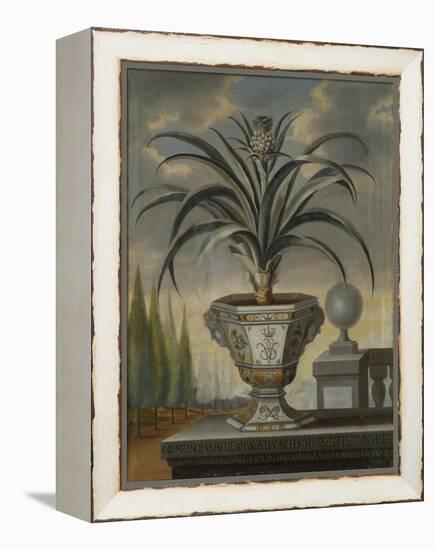Pineapple Plant, 1729-David von Coln-Framed Premier Image Canvas