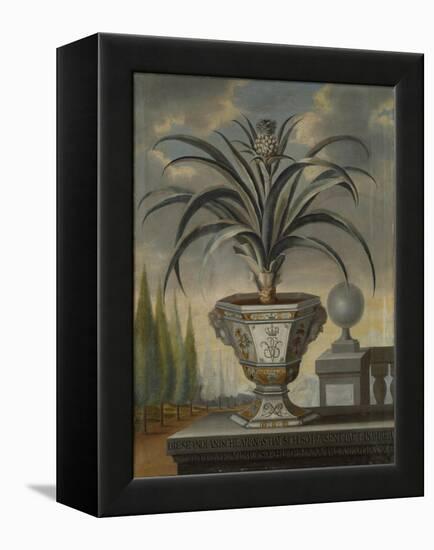 Pineapple Plant, 1729-David von Coln-Framed Premier Image Canvas