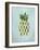 Pineapple Pop-Sydney Edmunds-Framed Giclee Print