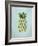 Pineapple Pop-Sydney Edmunds-Framed Giclee Print