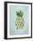 Pineapple Pop-Sydney Edmunds-Framed Giclee Print