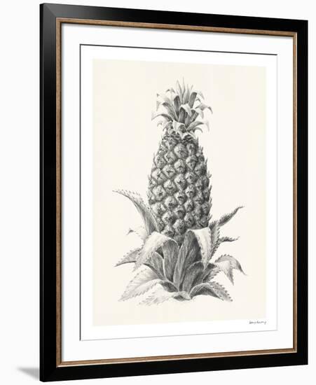 Pineapple - Portrayal-Hilary Armstrong-Framed Limited Edition