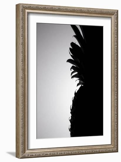 Pineapple Silhouette-Monika Burkhart-Framed Photographic Print