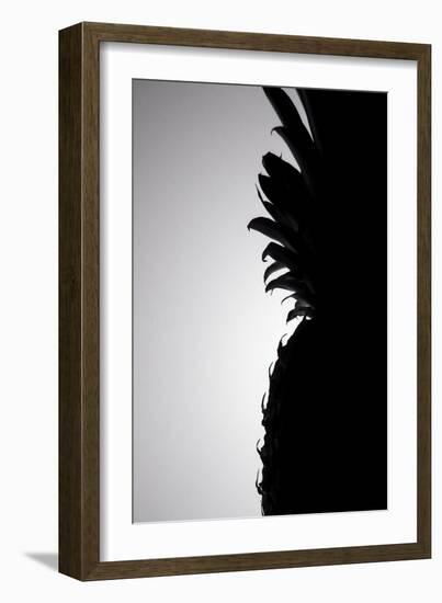Pineapple Silhouette-Monika Burkhart-Framed Photographic Print