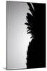 Pineapple Silhouette-Monika Burkhart-Mounted Photographic Print