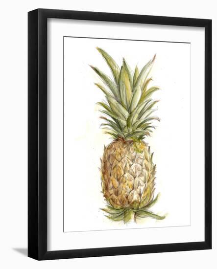 Pineapple Sketch II-Ethan Harper-Framed Art Print