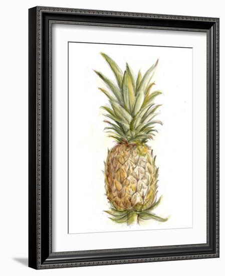 Pineapple Sketch II-Ethan Harper-Framed Art Print