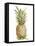 Pineapple Sketch II-Ethan Harper-Framed Stretched Canvas