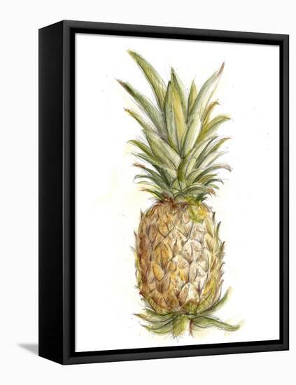 Pineapple Sketch II-Ethan Harper-Framed Stretched Canvas