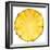 Pineapple Slice-Steve Gadomski-Framed Photographic Print